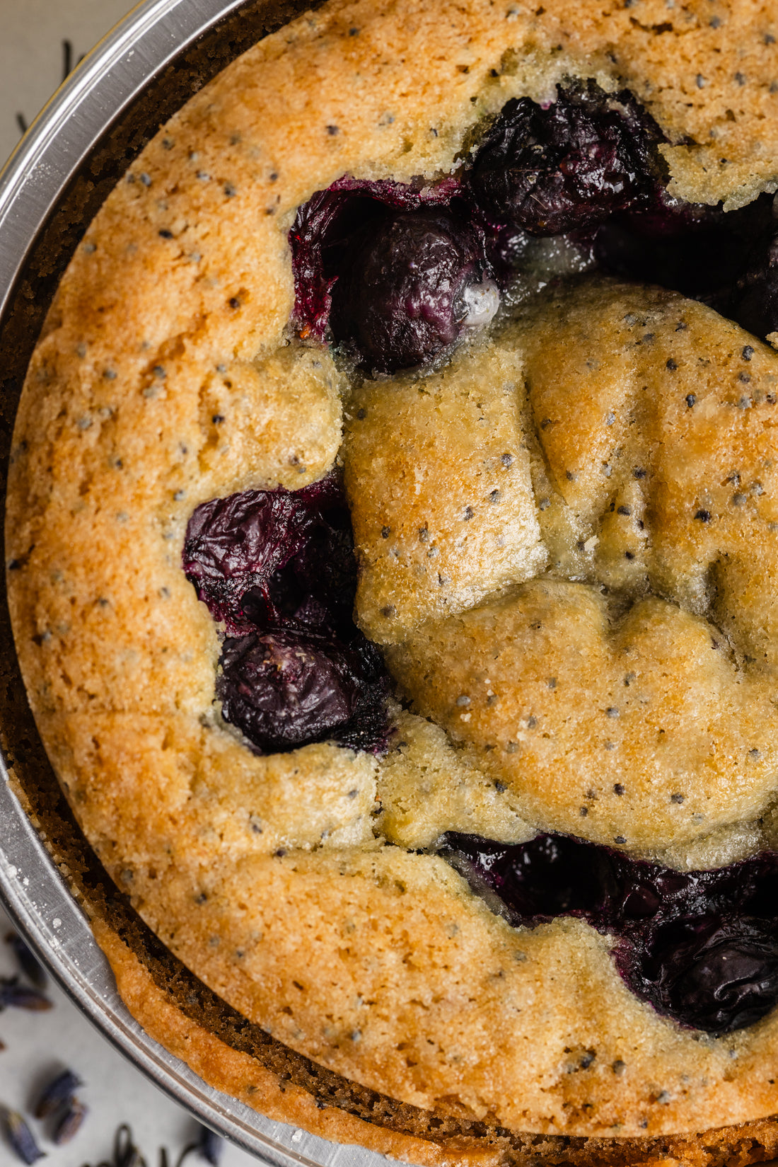 Blueberry Blossom Citrus Cookie Pie